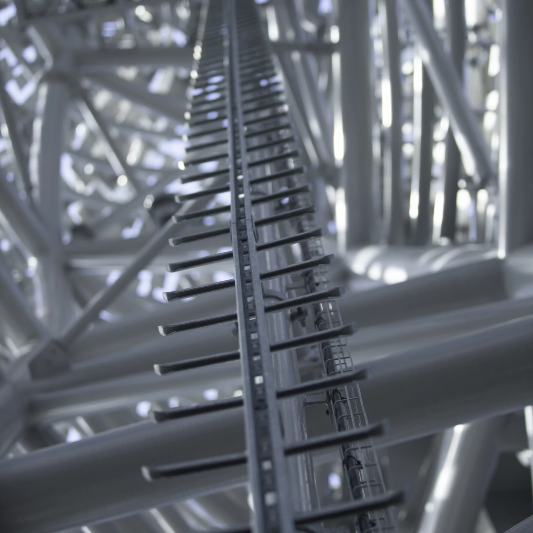 T-Spine climbing ladder