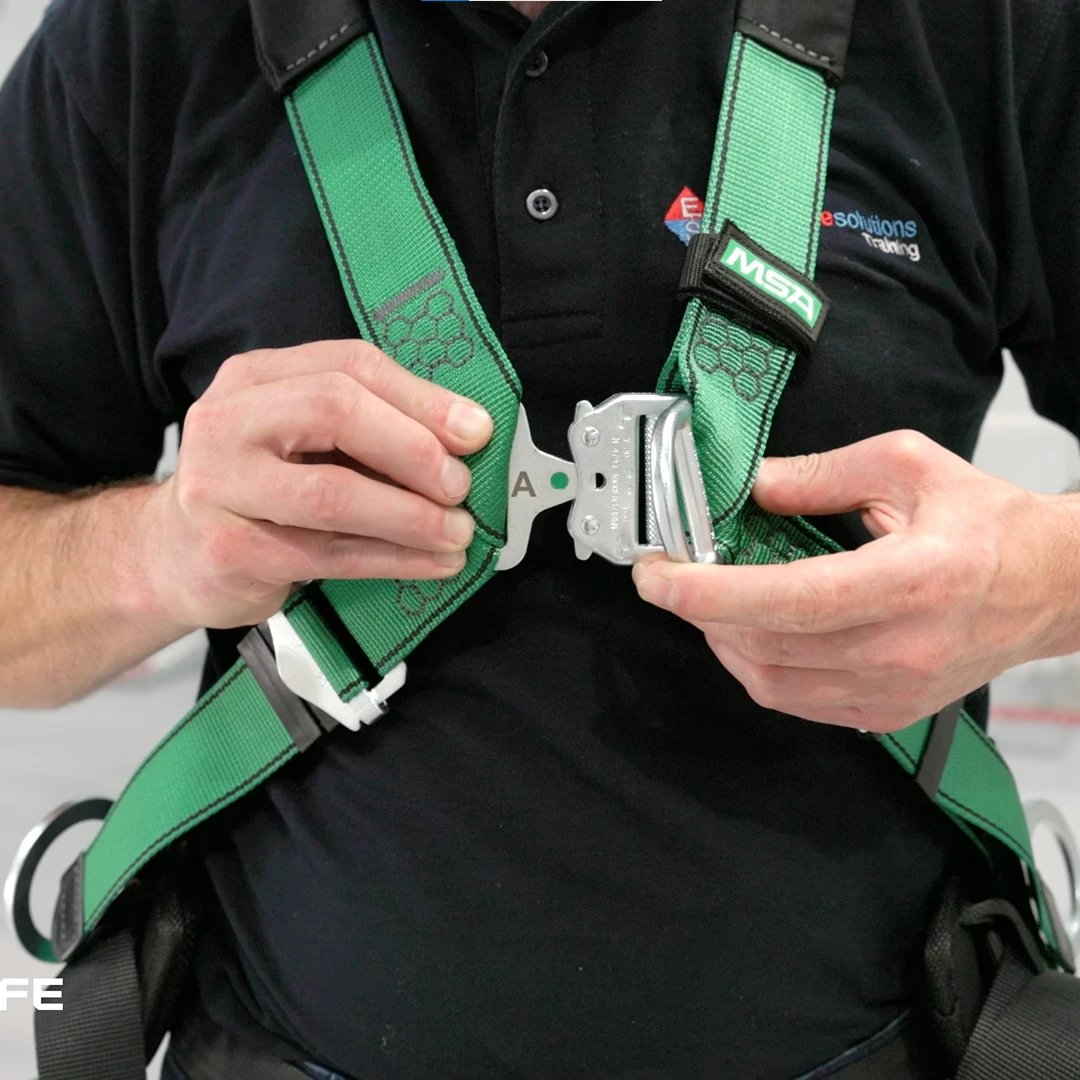 Full Body Harness