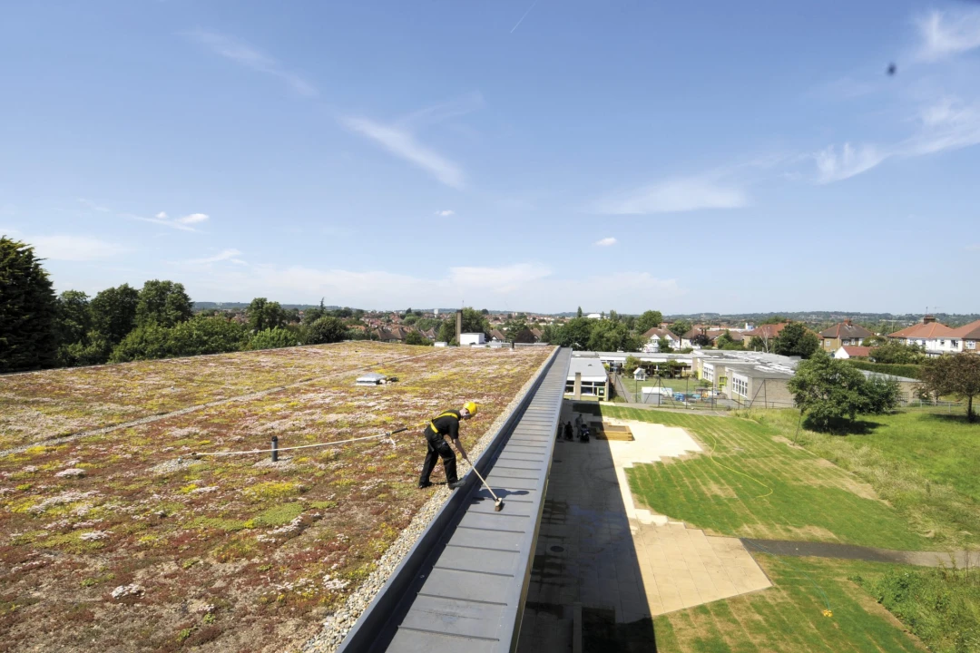 Groen dak Eurosafe Solutions