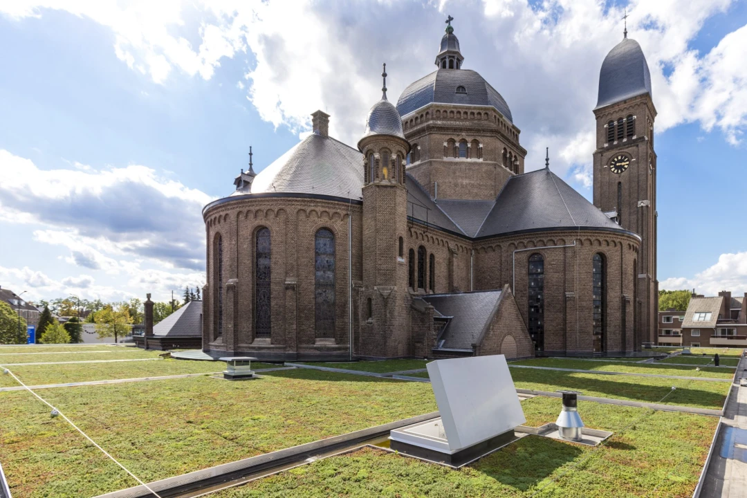 Groendak op het Speelhuis in Helmond