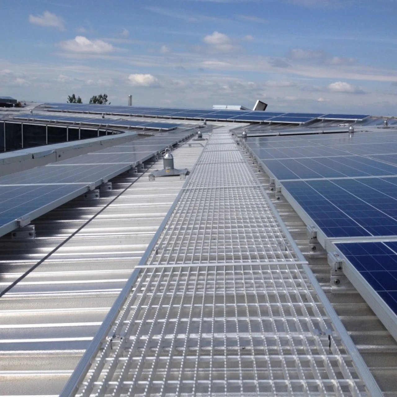 Grillage Walkway system