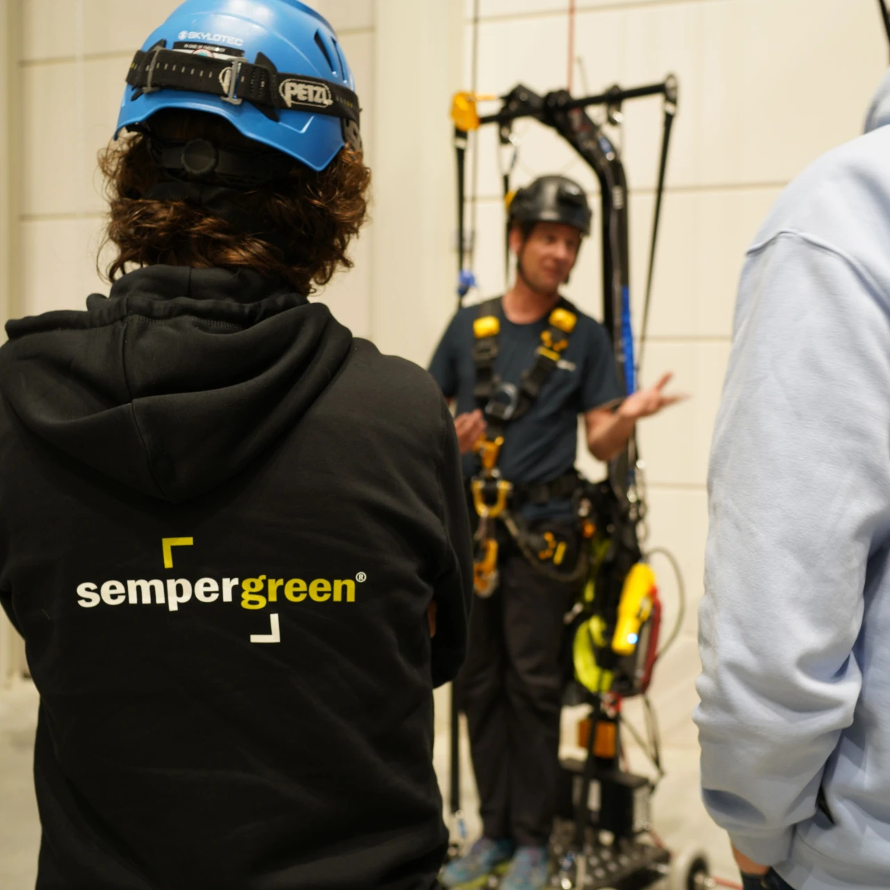 een trui met sempergreen erop