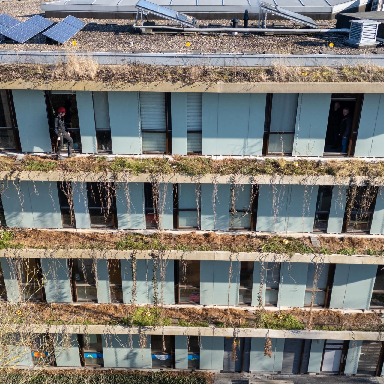 een man die loopt over groenvoorziening naast een gevel