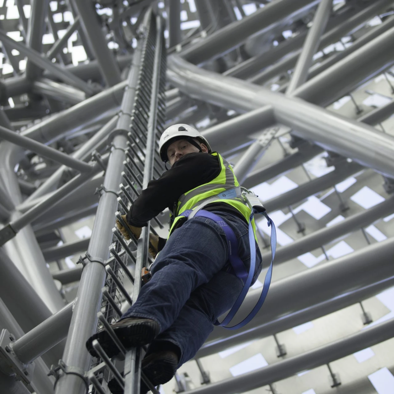 Kelpies Y-Spar Vertical Ladder System
