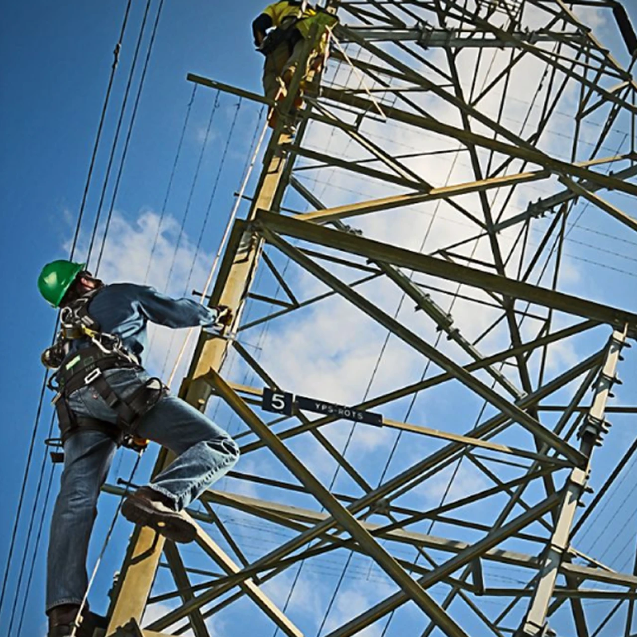 Vertical Wire System Inspection