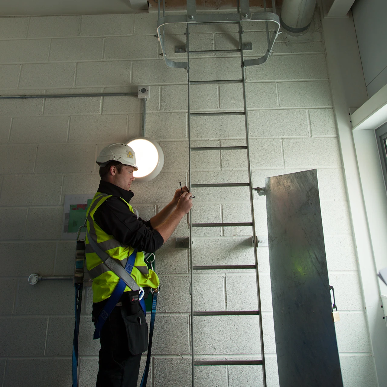 Fixed Ladder Inpsection