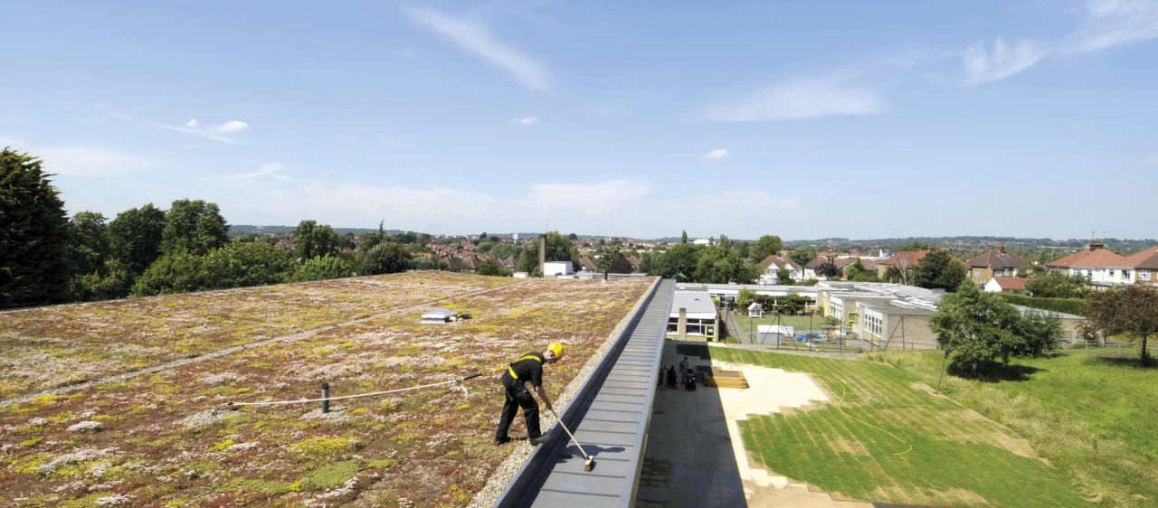 Groen dak Eurosafe Solutions