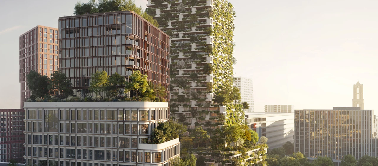 Wonderwoods 17_s3_cam001 JSR verkleind