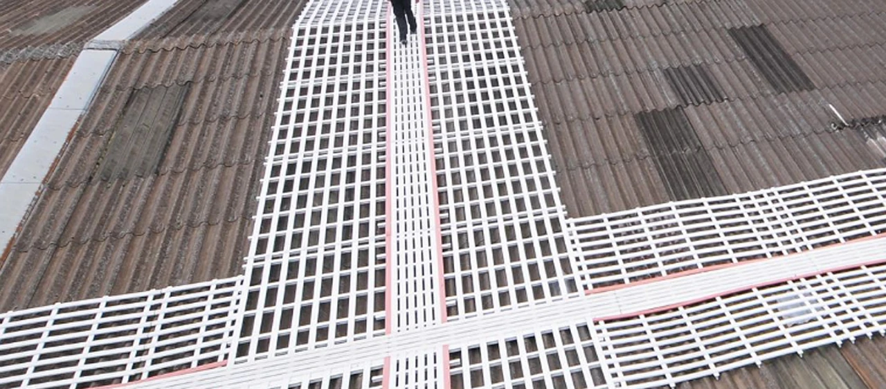 Rooflight Protection